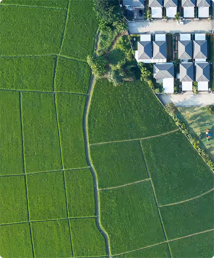 field image
